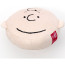 Charlie Brown From Snoopy Plush Toy