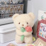 Shy Bear Cute Plush Toy