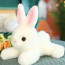 White Rabbit Plush Toy 22cm 8.7inches