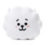 BT21 Line Friends RJ Decorative Throw Pillow Cushion 11 Inch 30cm