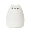 Squishy Cat Night Light