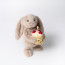 Jellycat Bashful Beige Bunny Birthday Soft Stuffed Plush 30cm 11.81inches
