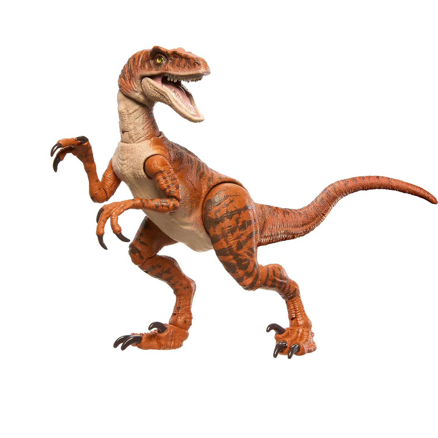 Jurassic World Hammond Collection Velociraptor Dinosaur Action Figure 21cm 8.2inches