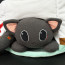 Honkai Star Rail Dan Heng Cat Plush Toy 23cm 9inches
