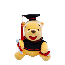 Disney Winnie The Pooh Graduation Memorial Plush Toy