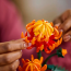 The Botanical Collection Chrysanthemum 10368 Brick Building Kit
