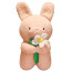 Shy Rabbit Cute Plush Toy