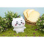 Chiikawa Plush Toy - 15cm 5.9inches
