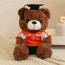 Dark Brown Graduation Bear in Polo Shirt Soft Stuffed Plush 23cm 9 inches Blue Pink Orange Yellow Green