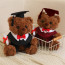 Dark Brown Graduation Bear with Robe Soft Stuffed Plush 25cm 9.84inches Blue Black Red