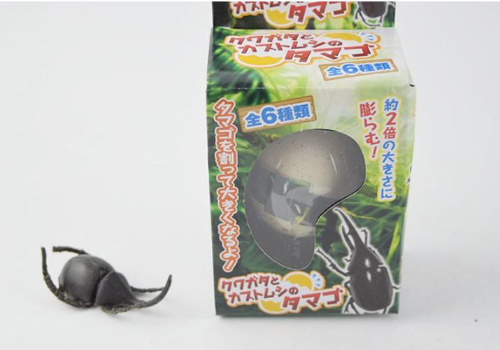 Magic Hatching Animal Egg - Beetle