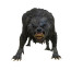 NECA An American Werewolf In London Ultimate Kessler Werewolf Action Figure