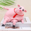 TikTok Pig Stress Toy - Pig Squishy Toy