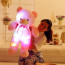 Pink Glowing Teddy Bear Plush Toy 50cm 16.98inches