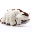Avatar:The Last Airbender Appa Plush Toy - 45cm 17.71inches