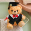 Light Brown Graduation Bear with Robe Soft Stuffed Plush 25cm 9.84inches Blue Black Red