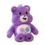 Care Bears Share Bear Plush Toy