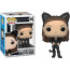 Funko Pop Monica Geller Catwoman #1069 Vinyl Figure