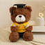 Dark Brown Graduation Bear in Polo Shirt Soft Stuffed Plush 23cm 9 inches Blue Pink Orange Yellow Green