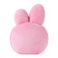 BT21 Line Friends Cooky Decorative Throw Pillow Cushion 11 Inch 30cm