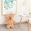 The Gingerbread Man Gingerbread Girl  Plush Toy - 30cm  12 inches