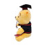 Disney Winnie The Pooh Graduation Memorial Plush Toy