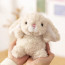 Jellycat Amuseables Yummy Bunny Soft Stuffed Plush 16cm 6.29inches