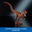 Jurassic World Hammond Collection Velociraptor Dinosaur Action Figure 21cm 8.2inches